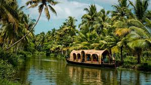 Visual highlight of Kerala package
